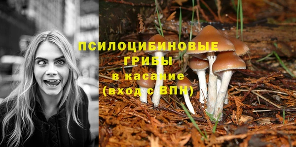гашишное масло Козловка